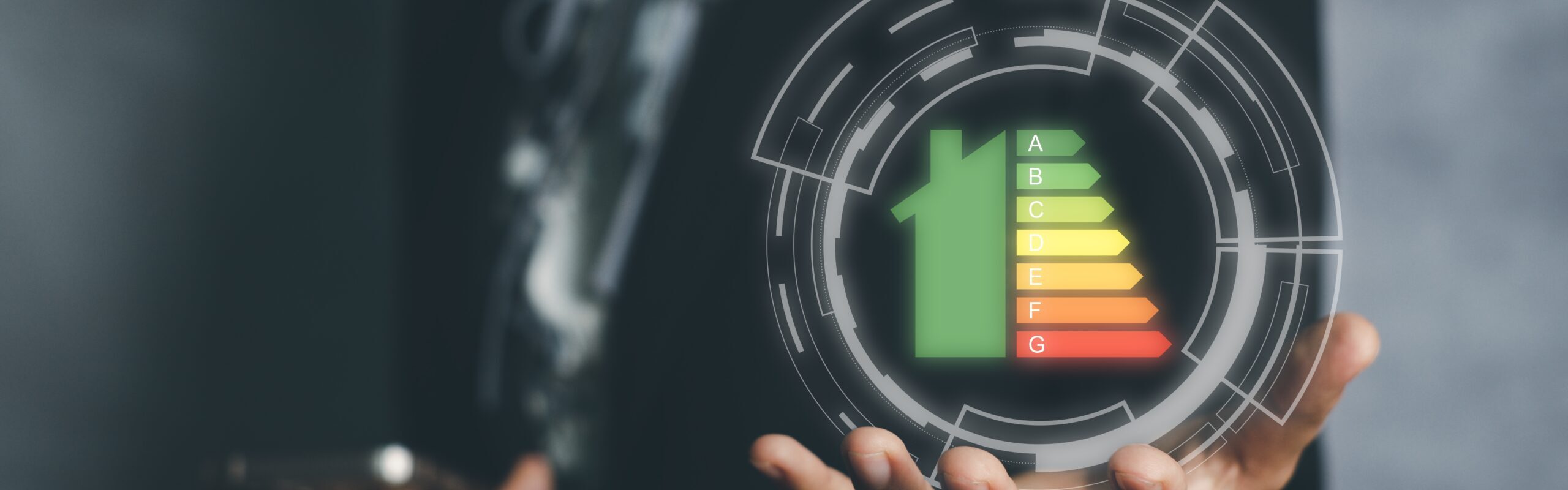 Person,Hand,And,House,Icon,With,Energy,Efficiency,Scale,Image Person,Hand,And,House,Icon,With,Energy,Efficiency,Scale,Image